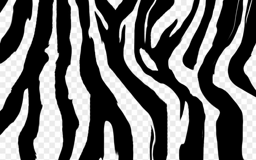Zebra Desktop Wallpaper Animal Print Clip Art PNG