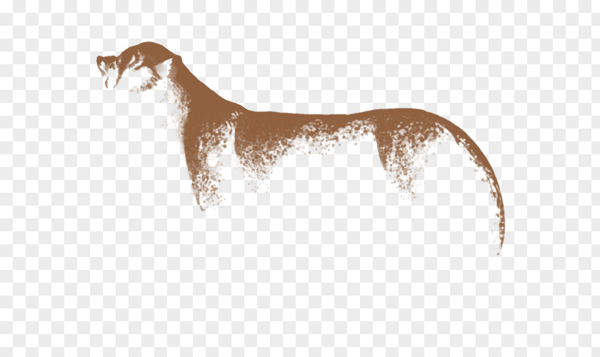 Brown Dust Dog Breed Italian Greyhound Wildlife PNG