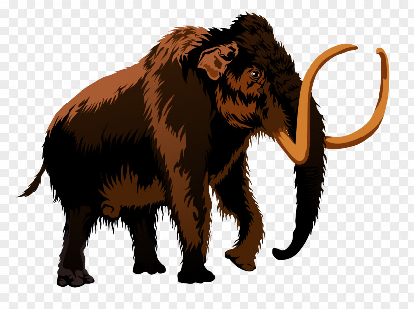 Extinct Cliparts Woolly Mammoth Triceratops Free Content Clip Art PNG