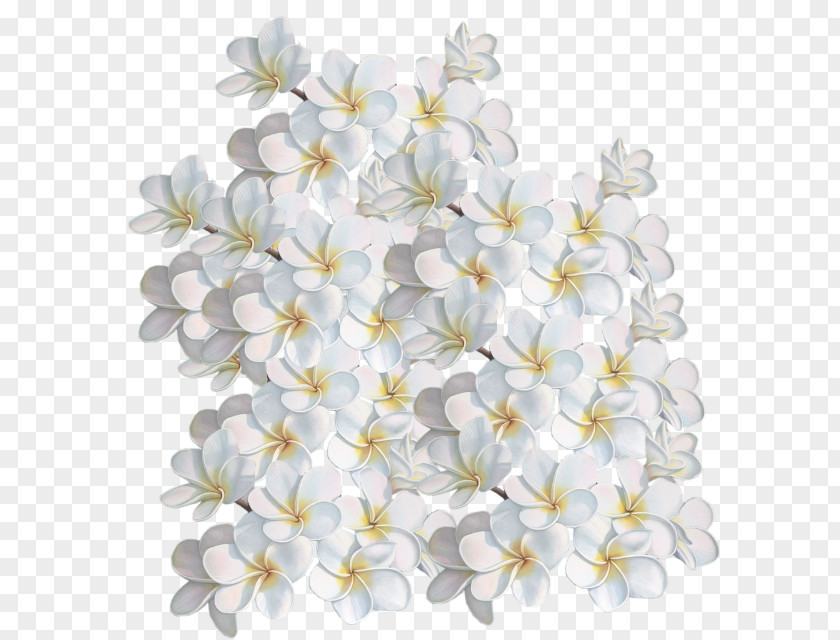 Flower Petal Cut Flowers Floral Design Birthday PNG