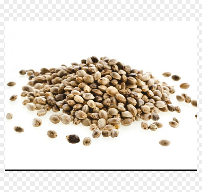 Hemp Milk Oil Seed Cannabis Sativa Food PNG
