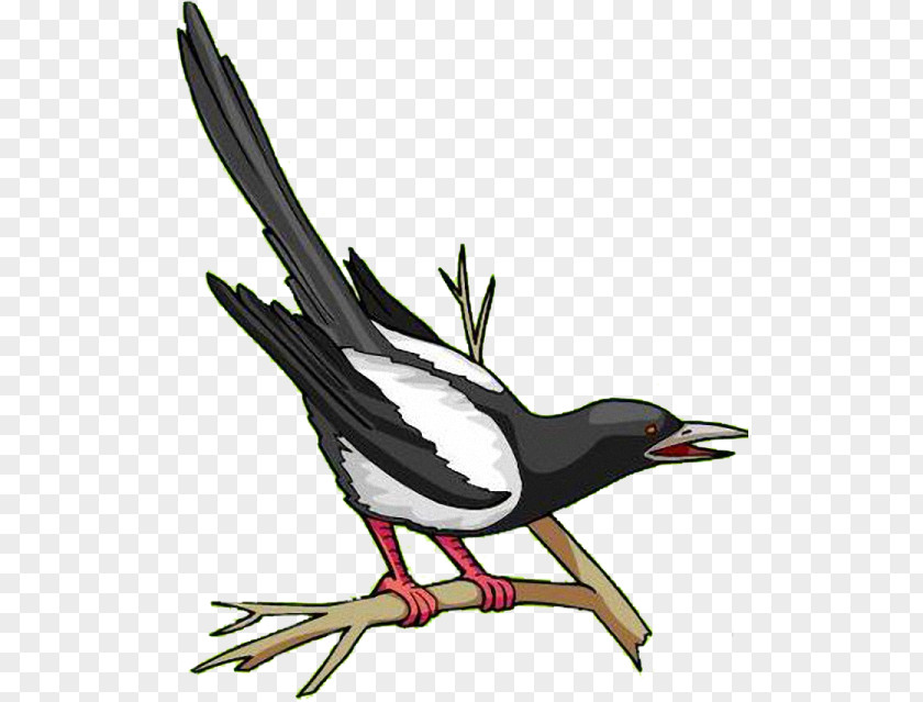 Painting Eurasian Magpie Clip Art Royalty-free Vector Graphics Image PNG
