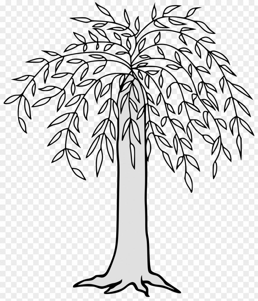 Symmetry Flower Weeping Willow Tree Drawing PNG