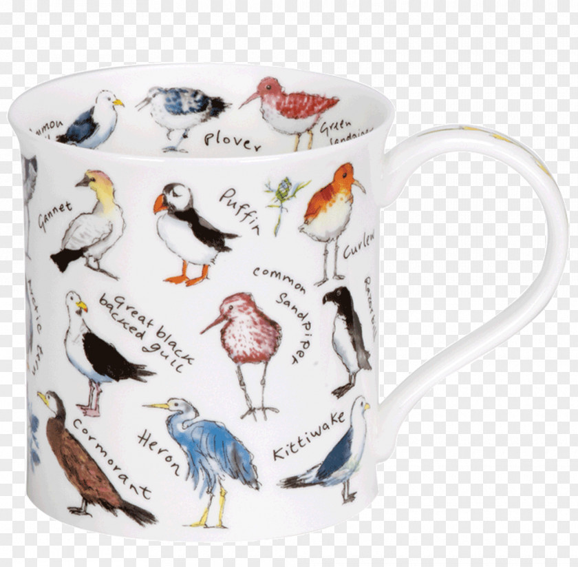 Bird Coffee Cup Mug Owl Dunoon PNG