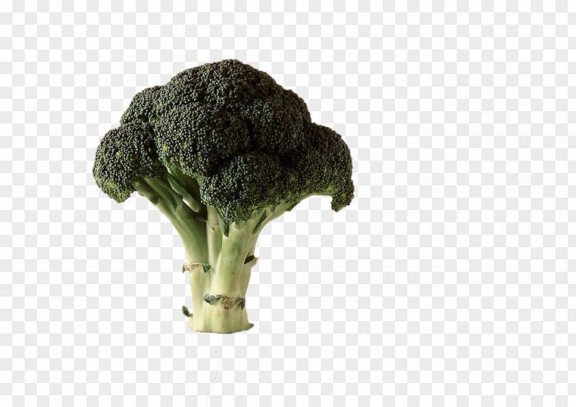 Broccoli Vegetables Chinese Cauliflower Cabbage Vegetable PNG