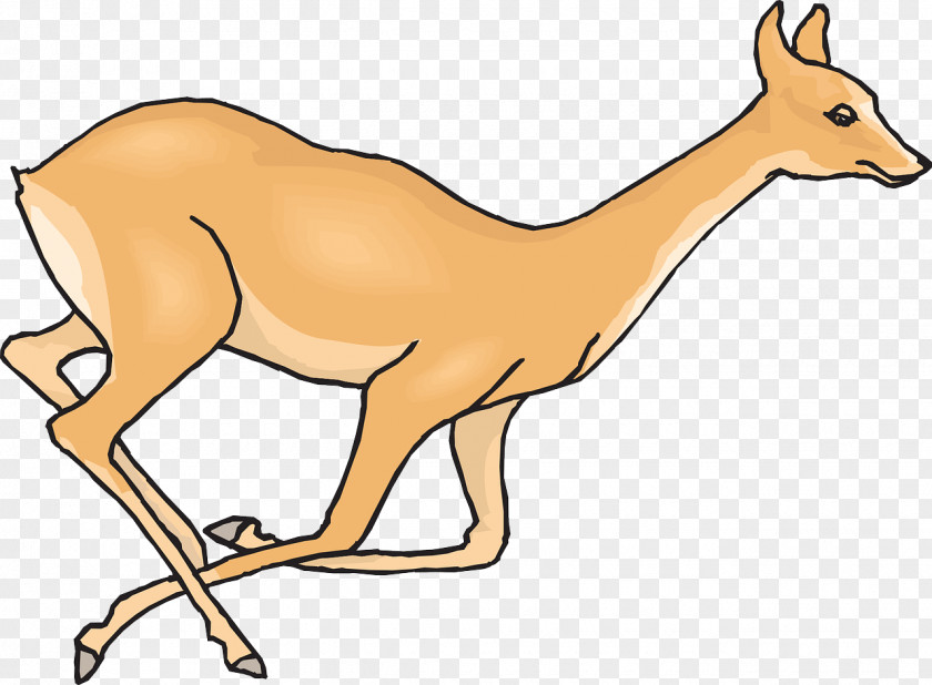 Deer White-tailed Clip Art PNG