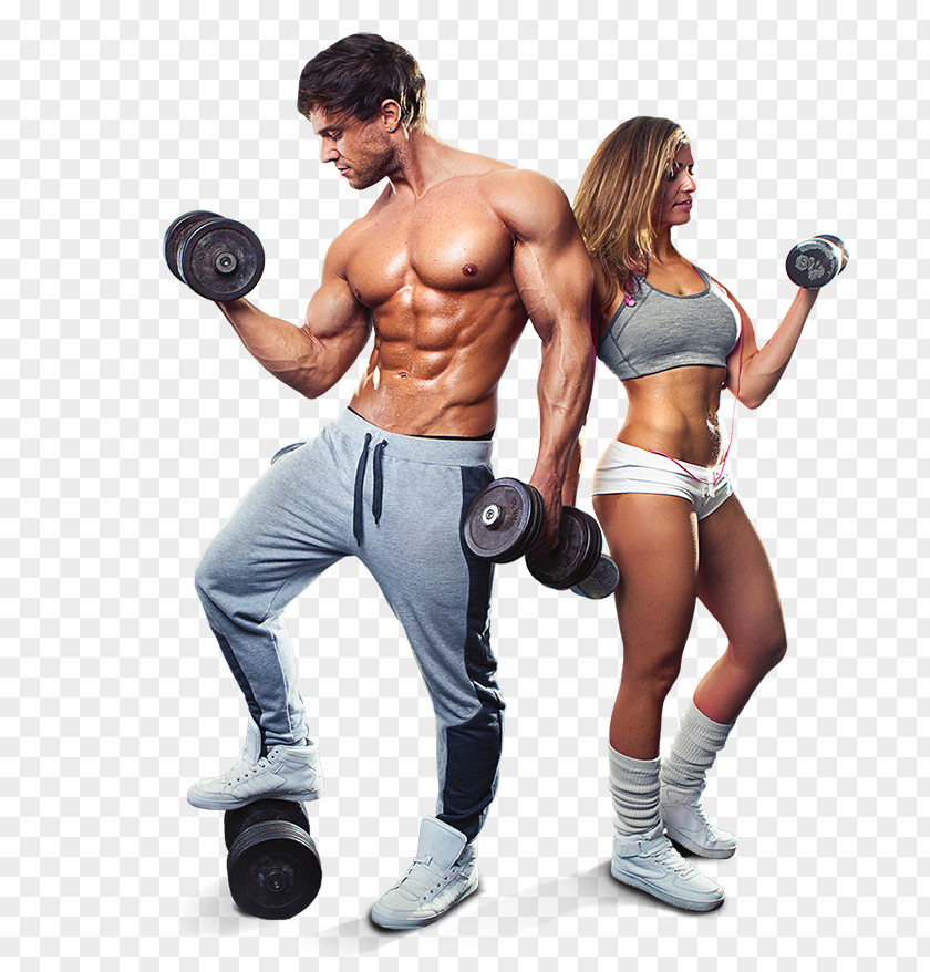 Dumbbell Exercise Fitness Centre Personal Trainer Physical General Training PNG