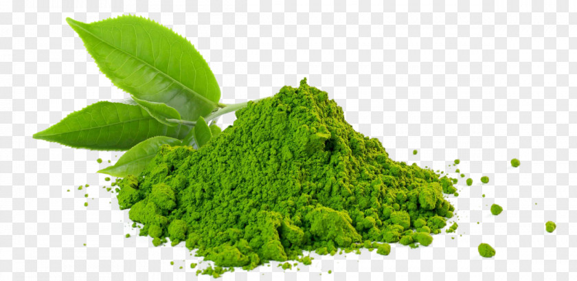 Green Tea Matcha Sencha Gyokuro PNG