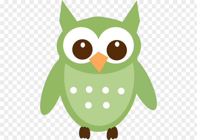 Olive Bird Cliparts Owl Cartoon Clip Art PNG