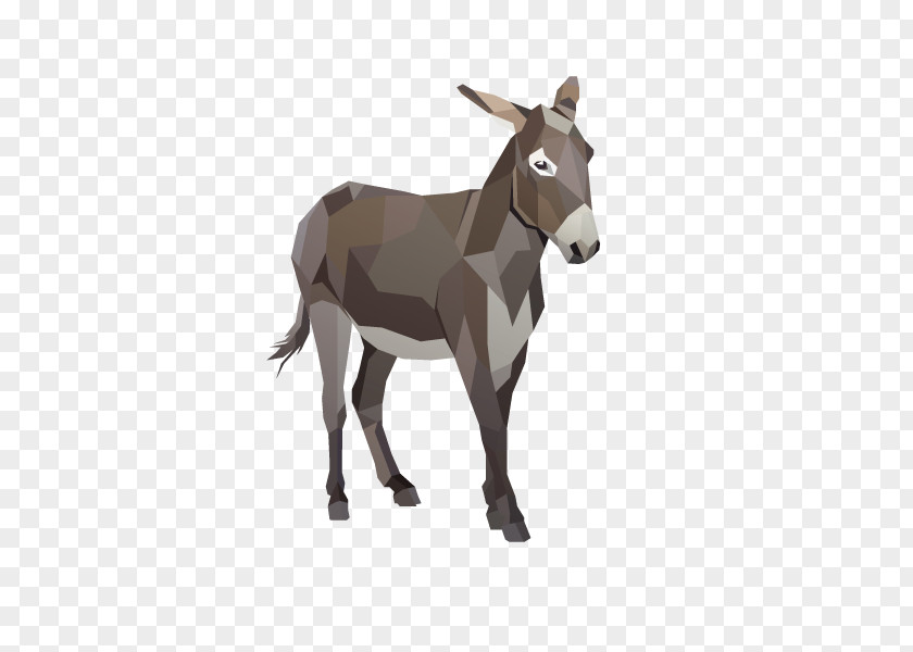 Vector Donkey Foal Provence Horse Colt PNG