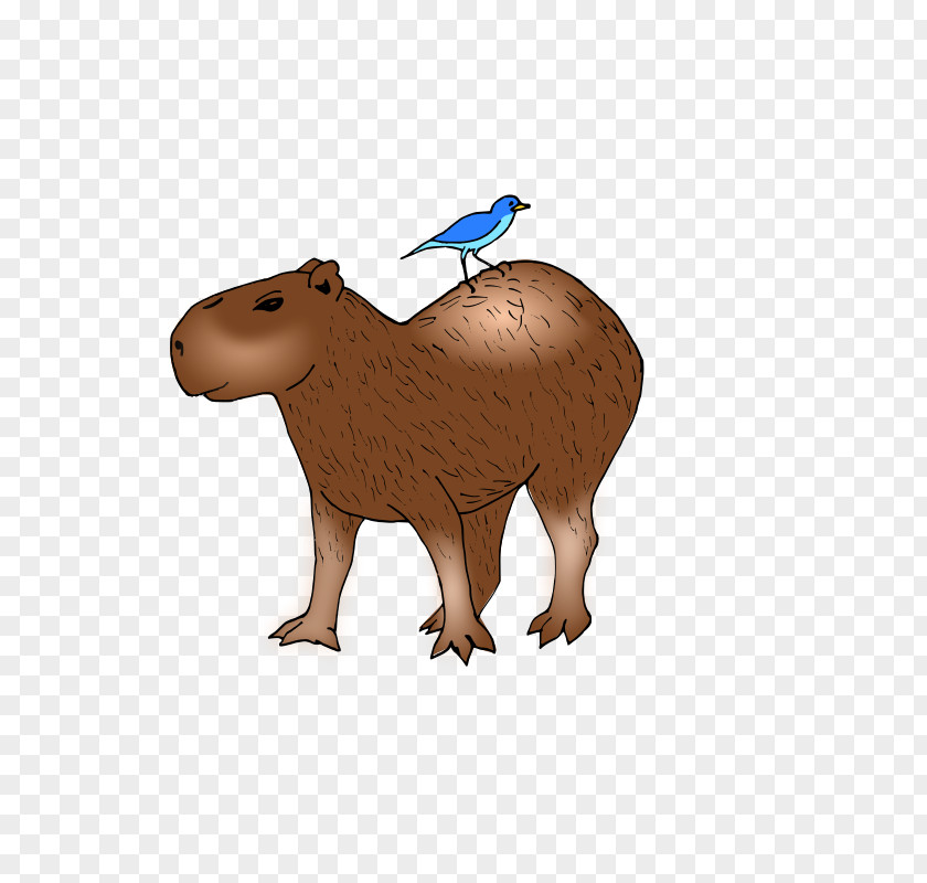 Beaver Capybara Clip Art PNG