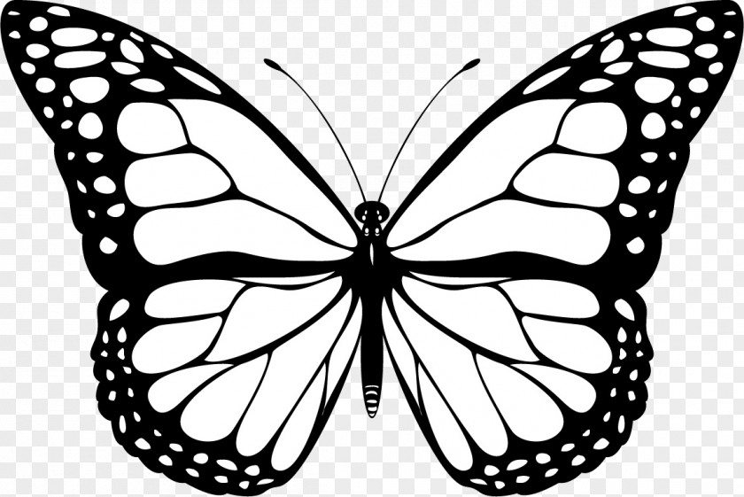 Butterfly Decoration Black And White YouTube Clip Art PNG