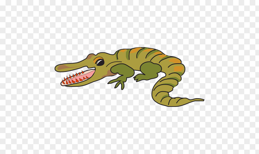 Crocodile Alligators Clip Art Image PNG