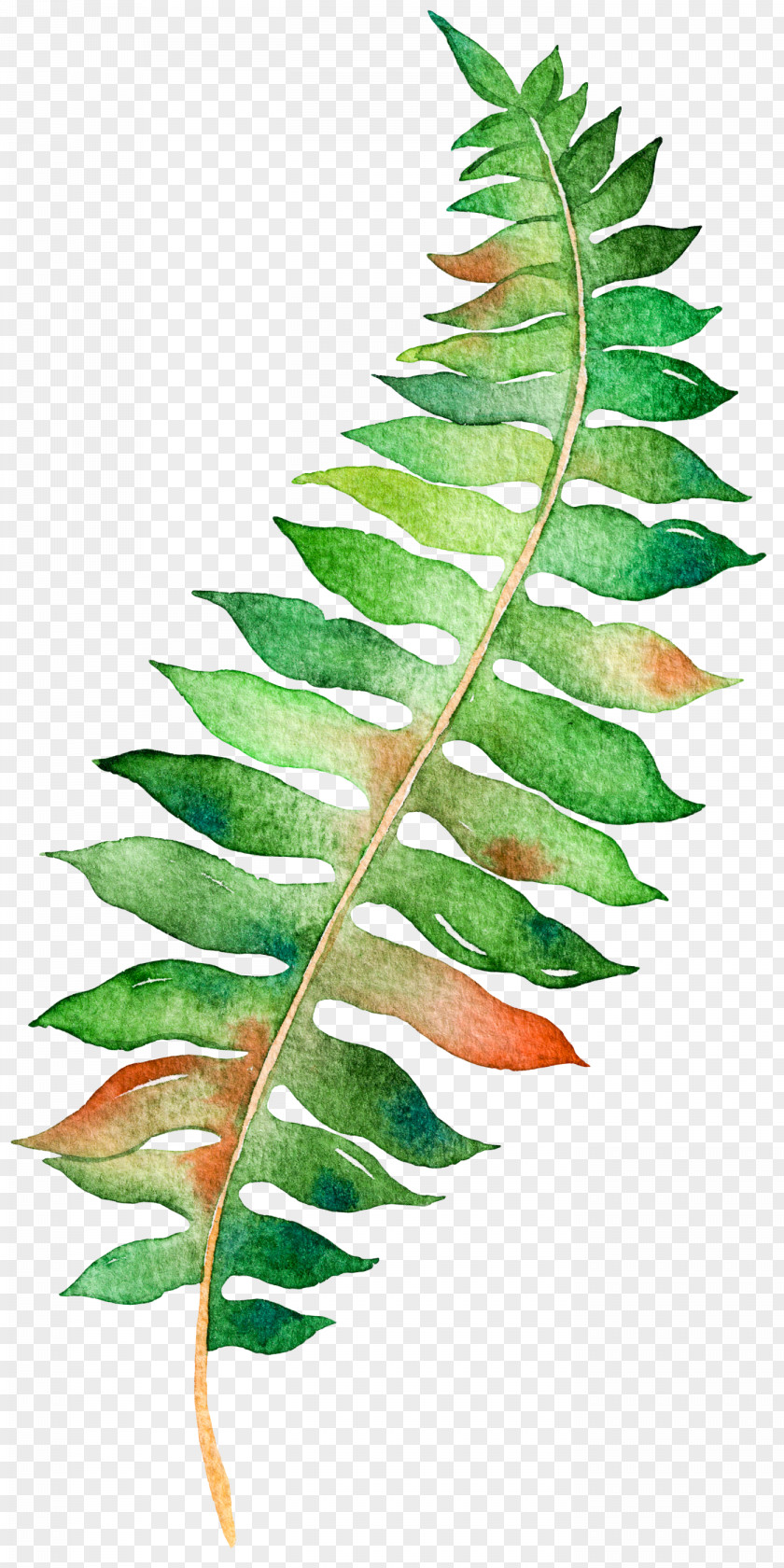 Leaves Paper Poster Watercolor Painting Illustration PNG
