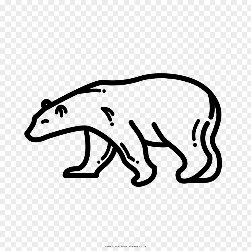 Masha And The Bear Panda Polar Drawing Clip Art PNG