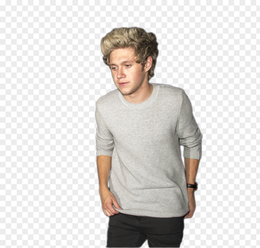 Niall Horan Long-sleeved T-shirt Sweater PNG