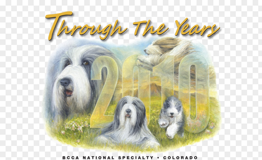 Obedience Trial Bearded Collie Dog Breed Rough Old English Sheepdog Basset Hound PNG