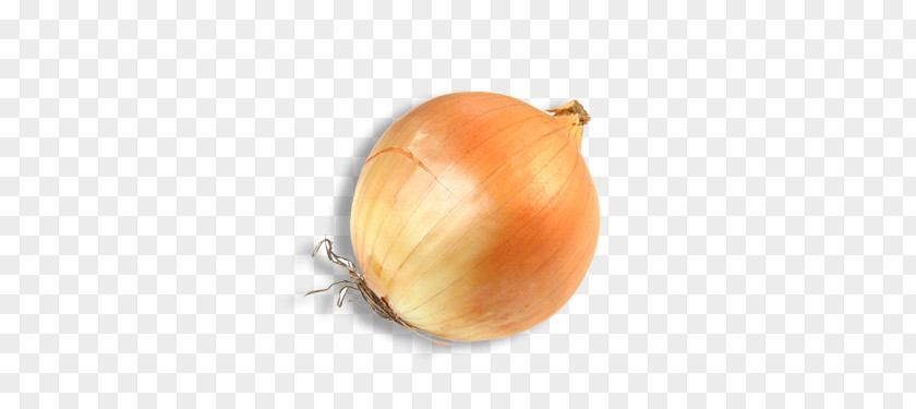 Onion Yellow Vegetable Food White PNG