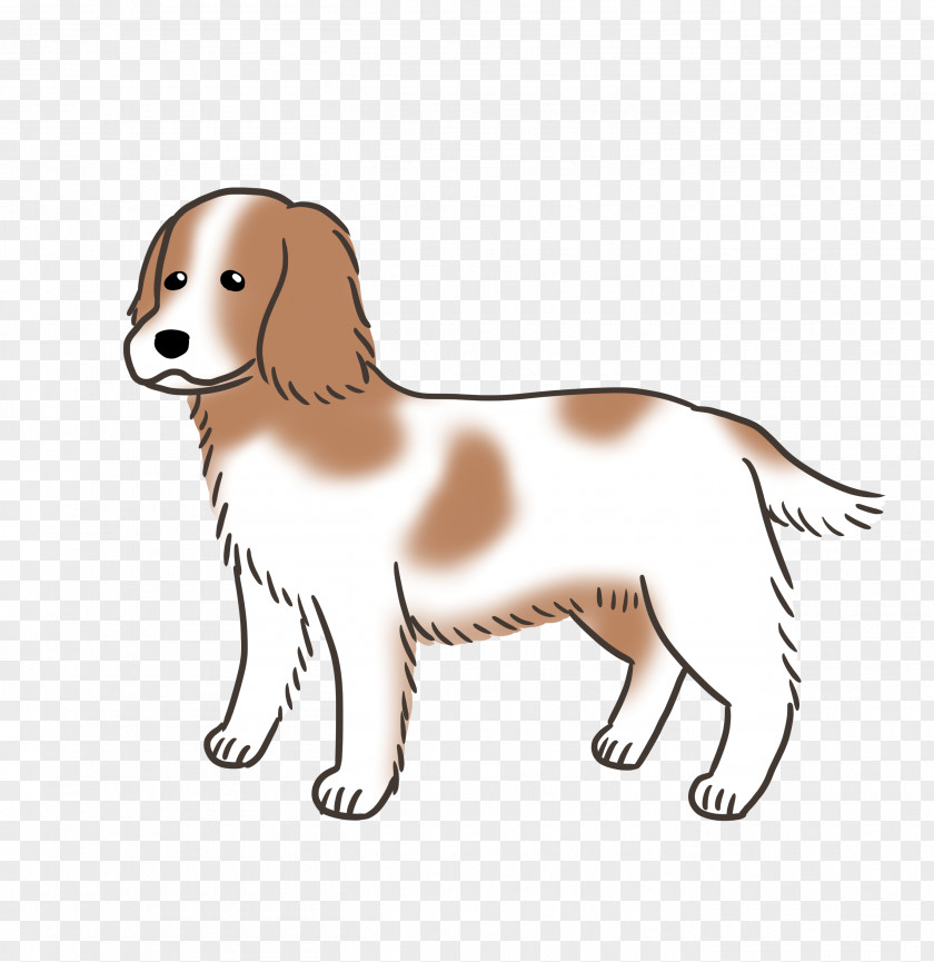 Spaniel Puppy Dog Breed Harrier Sporting Group PNG