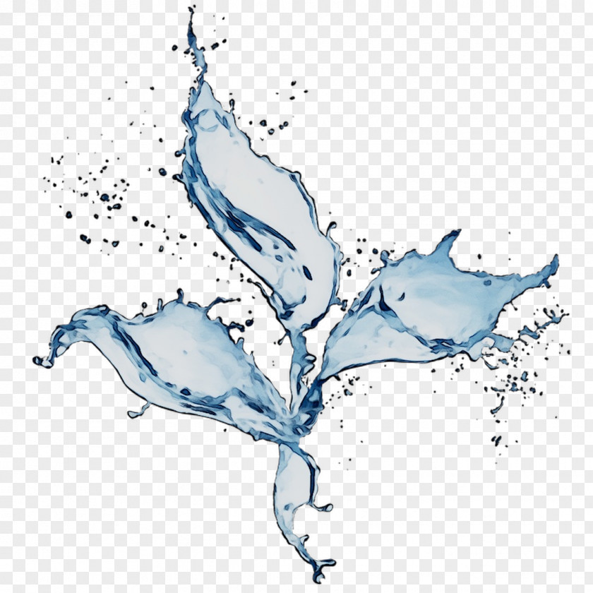 Water Graphics Illustration Whales & Dolphins PNG