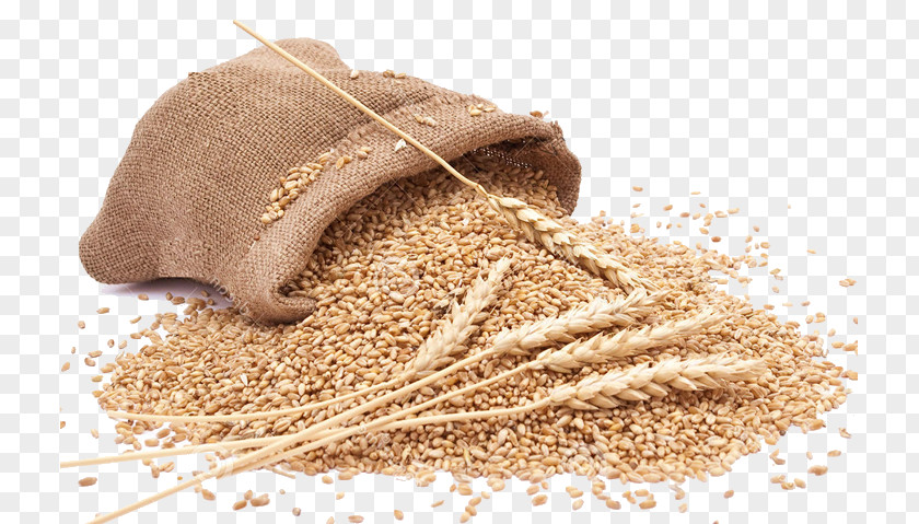 Wheat Whole-wheat Flour Cereal Food PNG