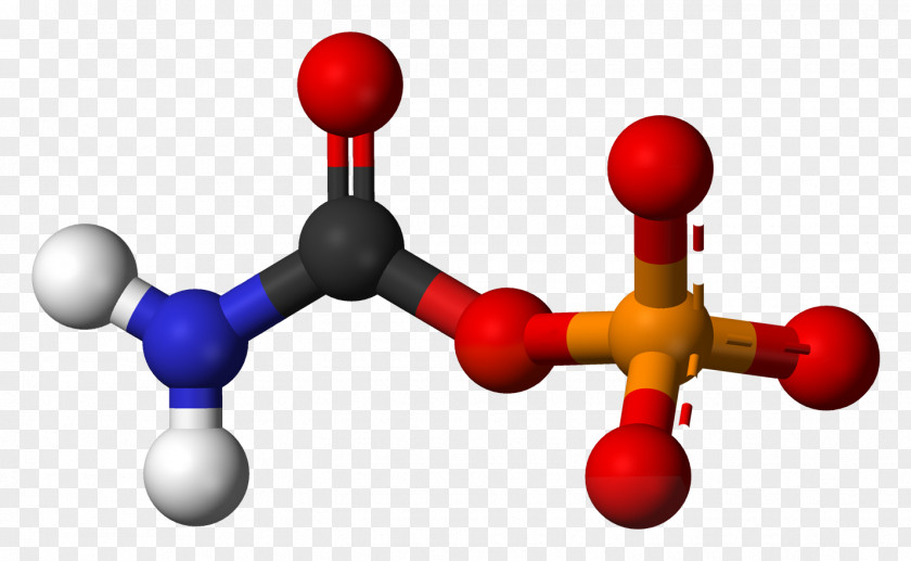 Biochemical Carbonic Acid Urea Carboxylic Carbamic PNG