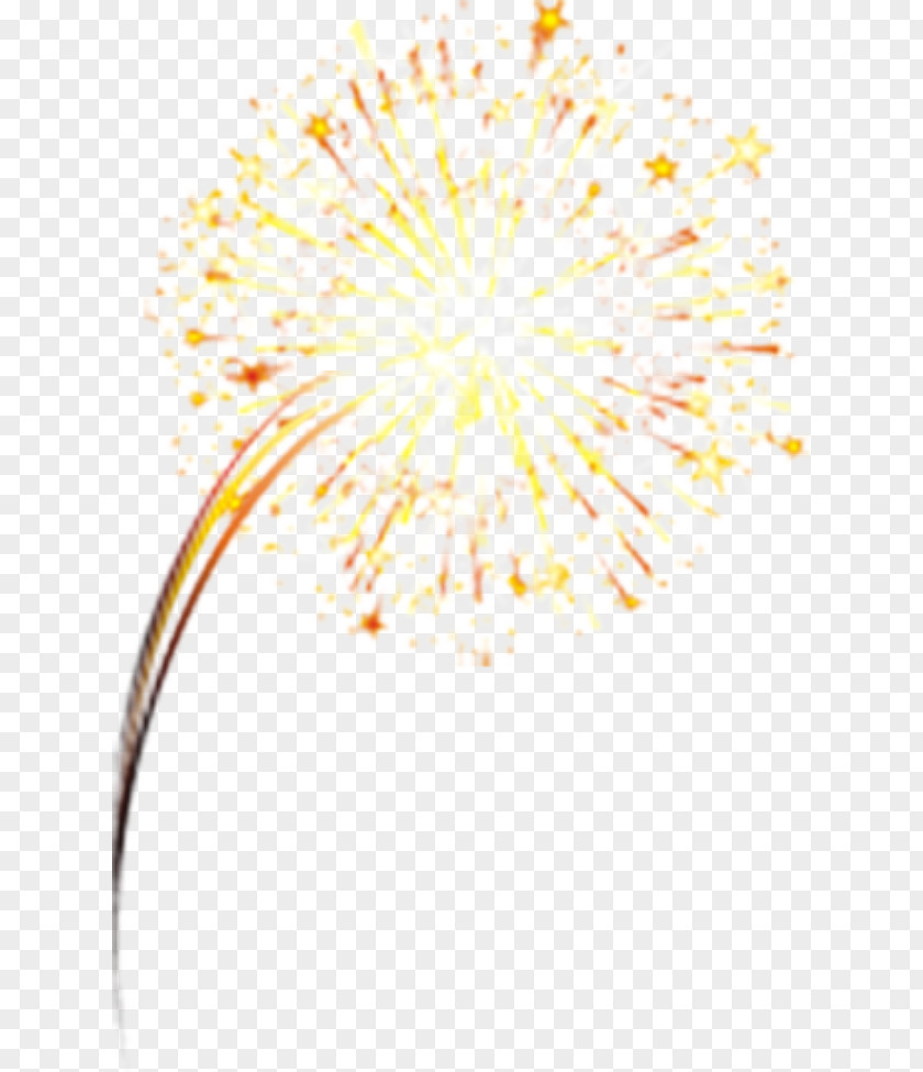 Festive Fireworks Pyrotechnics PNG