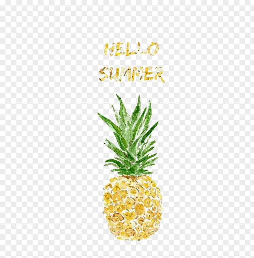 Hello Summer Pineapple Watercolor Painting Printmaking Illustration PNG