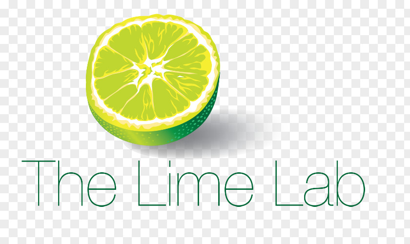 Lime Key Persian Lemon Digital Marketing PNG