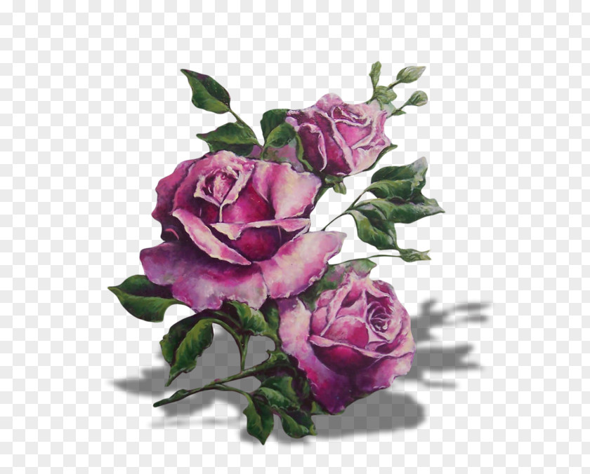 Purple Lavender Lilac Garden Roses Flower PNG