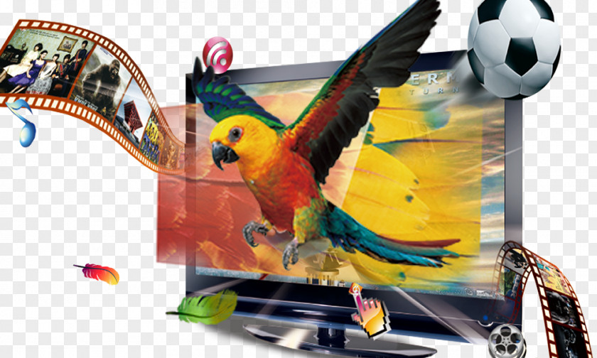 3d TV Television 4K Resolution Poster PNG