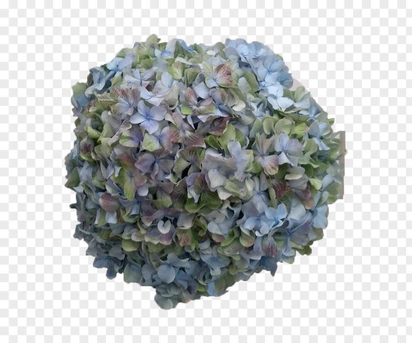 Artificial Flower California Lilac Green Grass Background PNG