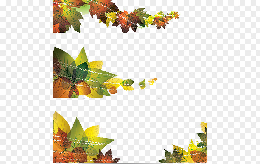 Autumn Leaves Banner Leaf Illustration PNG