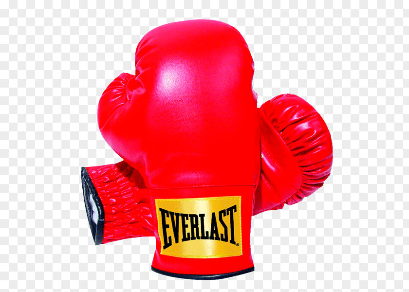 Boxing Punching & Training Bags Glove Everlast PNG