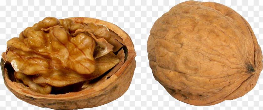 Pistachios English Walnut Nuts PNG