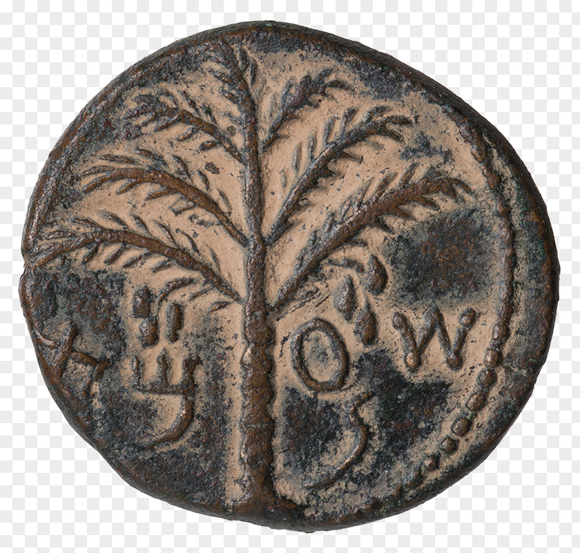 Ysr Bar Kokhba Revolt First Jewish–Roman War Jerusalem Aelia Capitolina Paleo-Hebrew Alphabet PNG