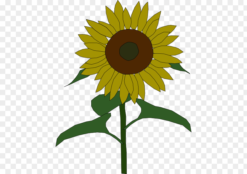 Alpha Kappa Clipart Common Sunflower Free Content Public Domain Clip Art PNG