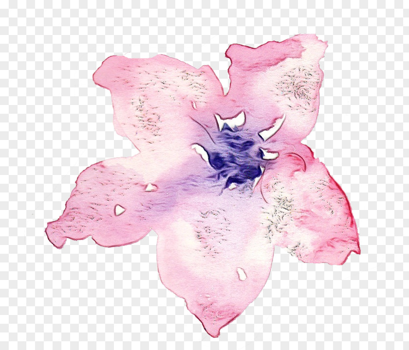 Cattleya Rhododendron Watercolor Pink Flowers PNG