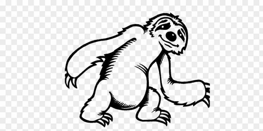 Child Two-toed Sloths Coloring Book Sid Three-toed Sloth PNG