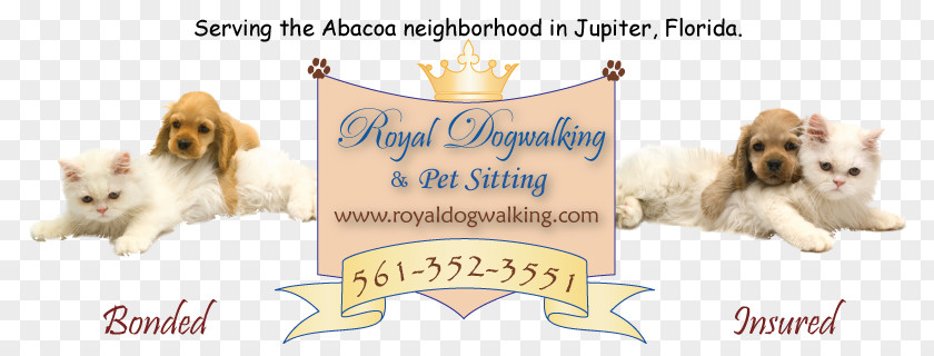 Dog Walking Breed Puppy Cat English Cocker Spaniel PNG