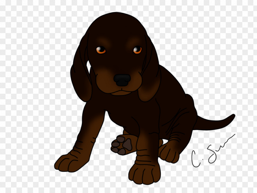 Puppy Dog Breed Black And Tan Coonhound Field Spaniel Boykin PNG
