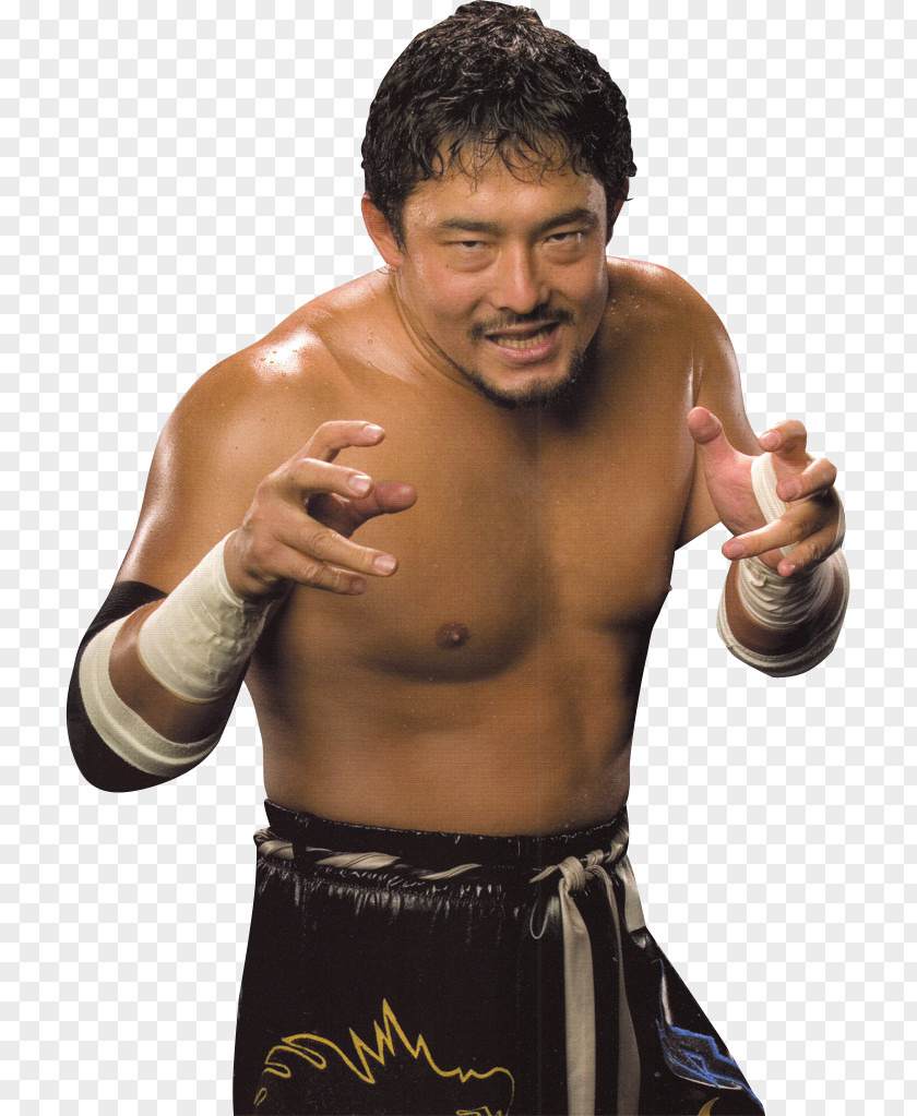Tajiri Boxing Glove .net .com PNG