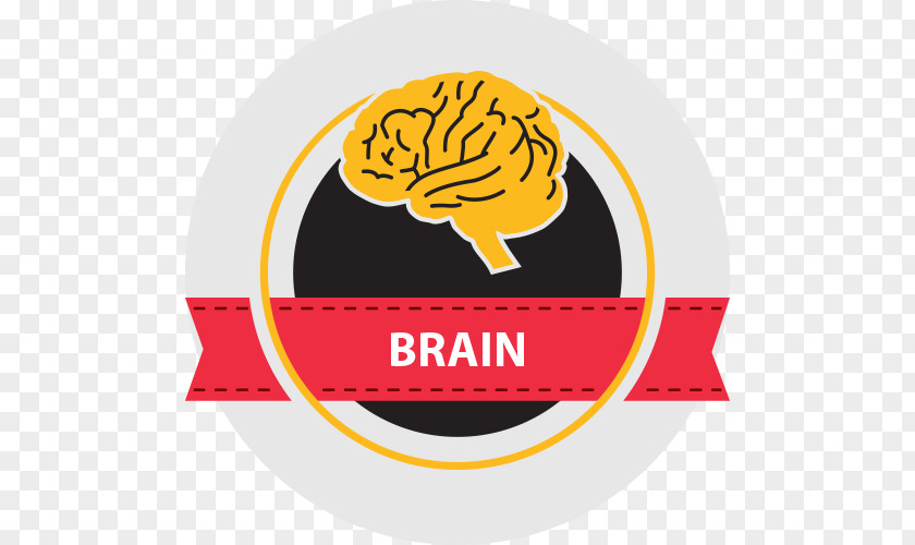 Brain Health Logo Brand Graphic Design Quality PNG