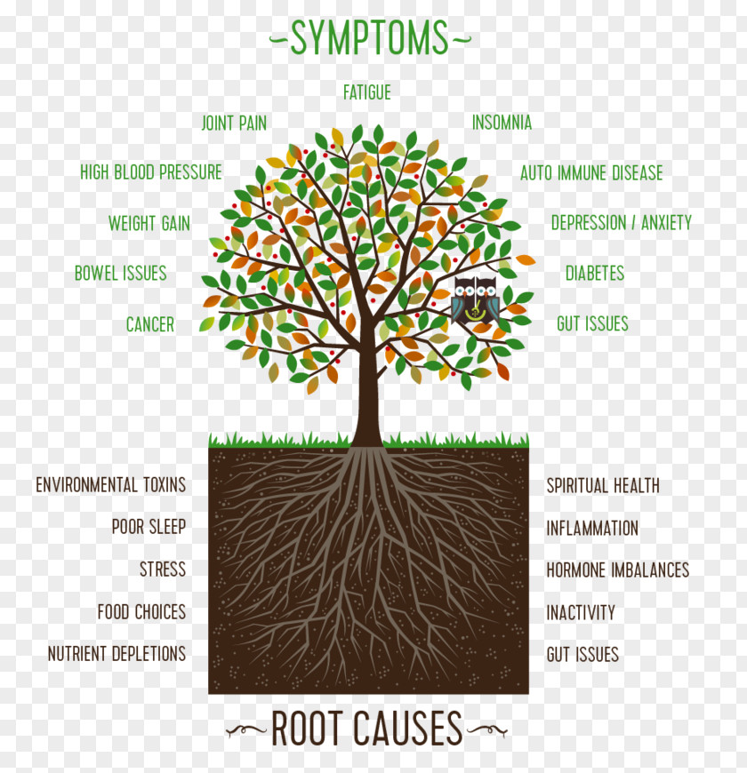 Family Constellations Psychology Root Cause Psychotherapist PNG