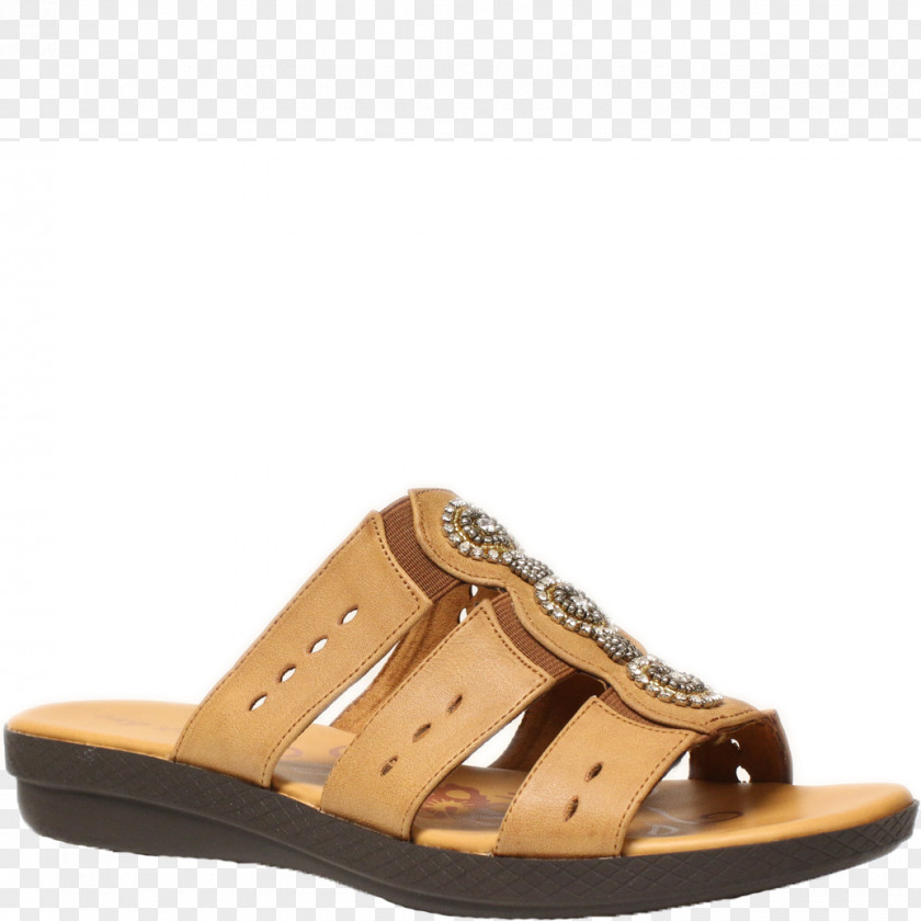 Sandal Slide Shoe PNG