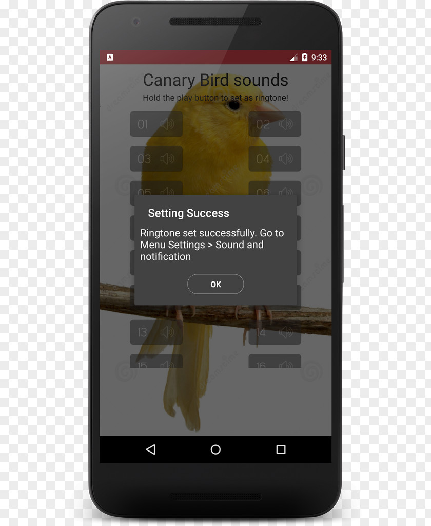 Smartphone Domestic Canary Bird Sounds PNG