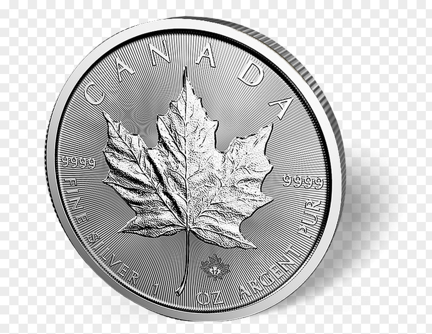 Canada Canadian Silver Maple Leaf Gold Bullion Coin PNG