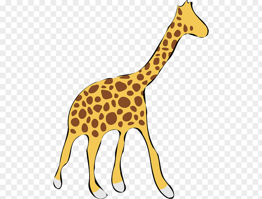 Giraffe Drawing Clip Art PNG