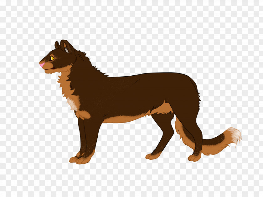 Puppy Australian Kelpie Dog Breed Razas Nativas Vulnerables PNG