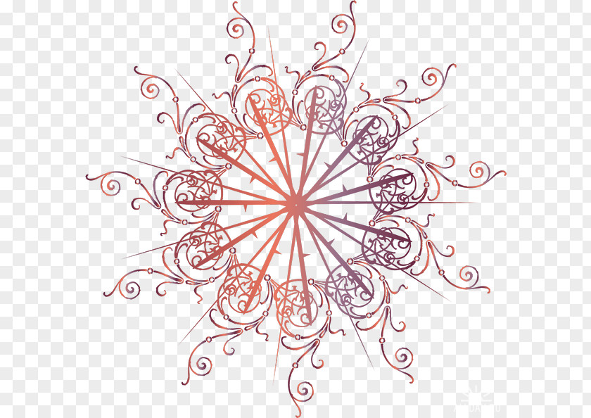 Star Light Floral Design PNG